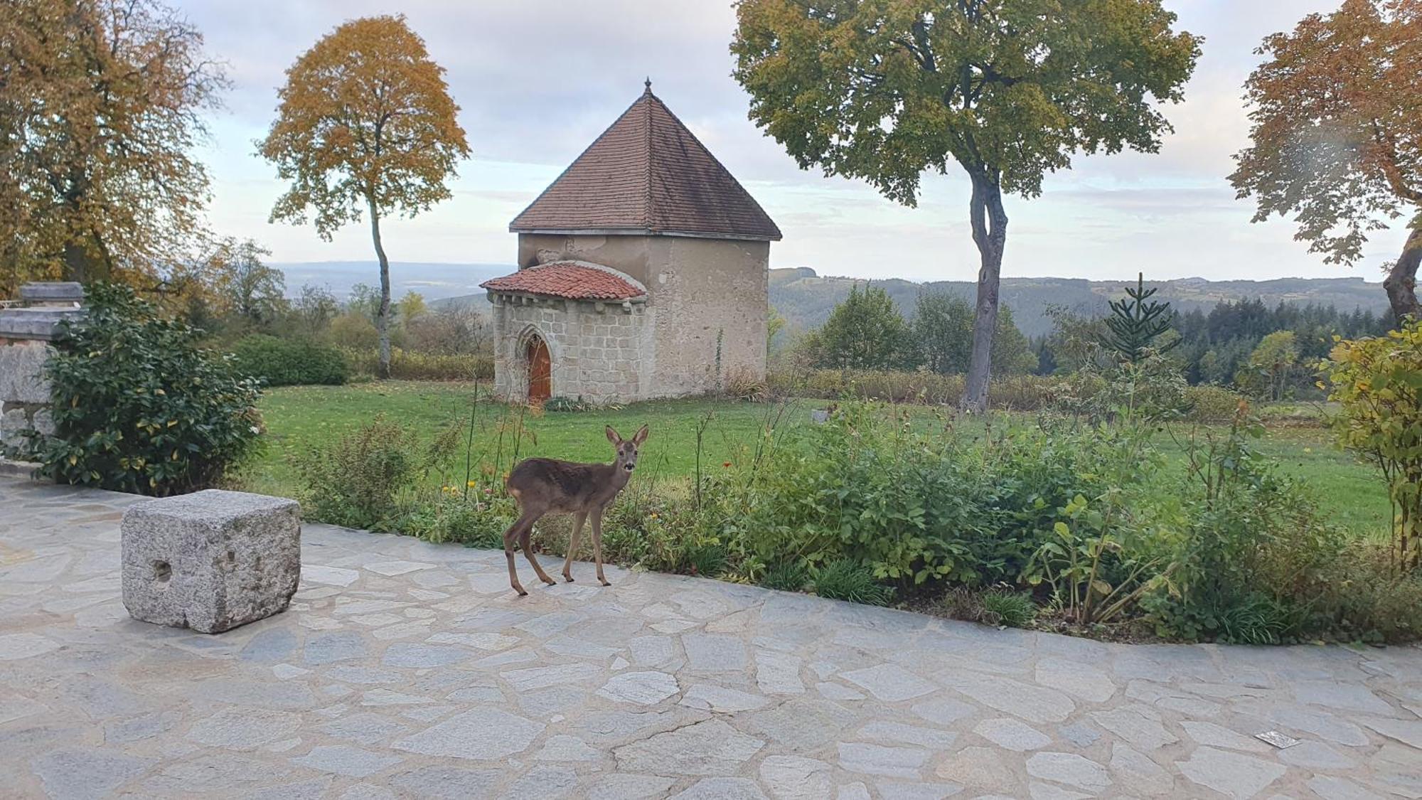 Bed and Breakfast Domaine De Montvianeix à Saint-Victor-Montvianeix Extérieur photo